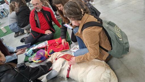  SPOLOČNE NA MEDIFUTURE 2026