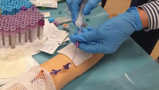 Workshop: Nursing Care for PICC Catheters