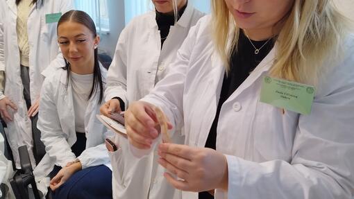 INOVATÍVNA VÝUČBA PRAXE