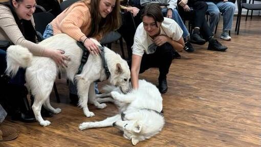 ŠTÚDIUM, KTORÉ MÁ ZMYSEL: Psychológia nie je len odbor. Je to spôsob, ako porozumieť ľuďom a svetu okolo seba