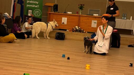 ŠTÚDIUM, KTORÉ MÁ ZMYSEL: Psychológia nie je len odbor. Je to spôsob, ako porozumieť ľuďom a svetu okolo seba