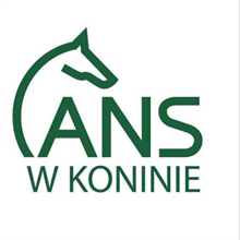 Logo Akademia Nauk Stosowanych w Koninie