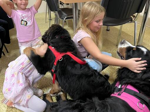 Detská letná humanitárna univerzita