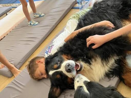 Detská letná humanitárna univerzita